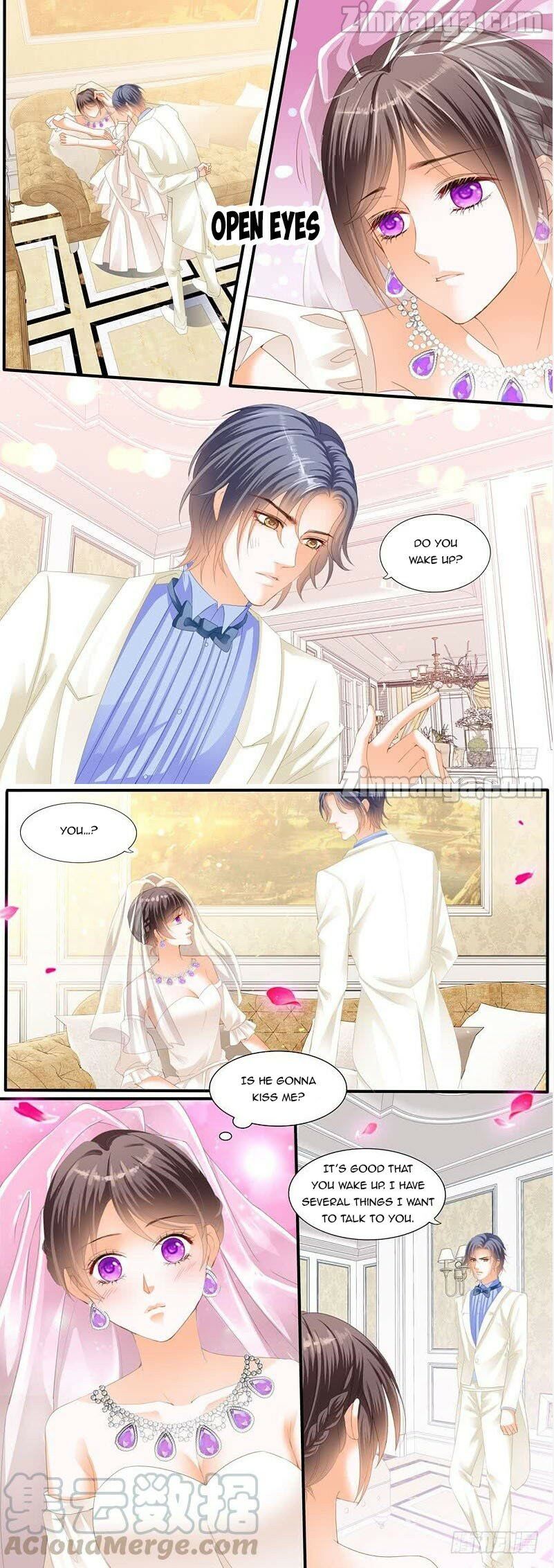THE BEAUTIFUL WIFE OF THE WHIRLWIND MARRIAGE chapter 217 - page 1