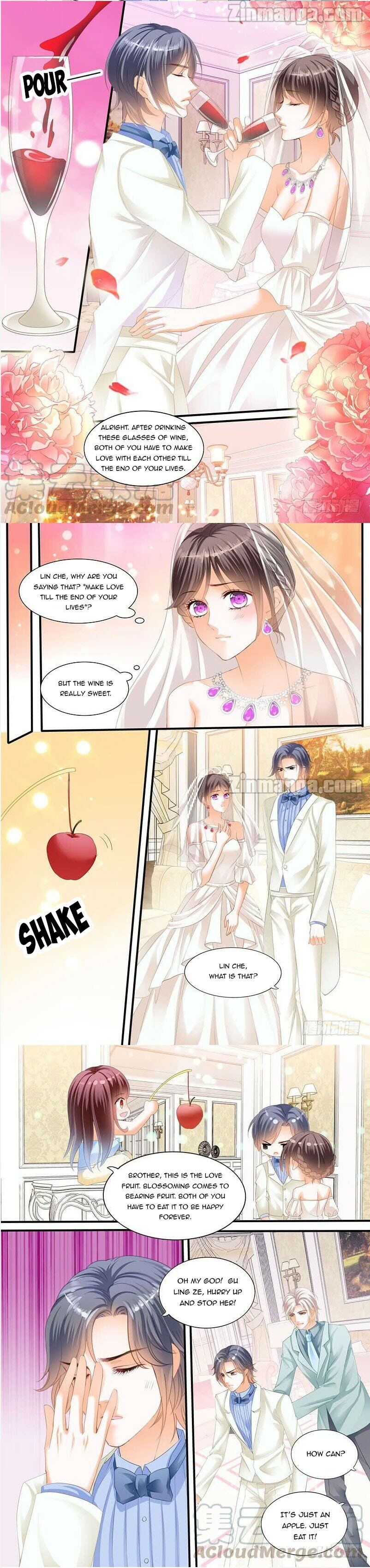 THE BEAUTIFUL WIFE OF THE WHIRLWIND MARRIAGE chapter 217 - page 3