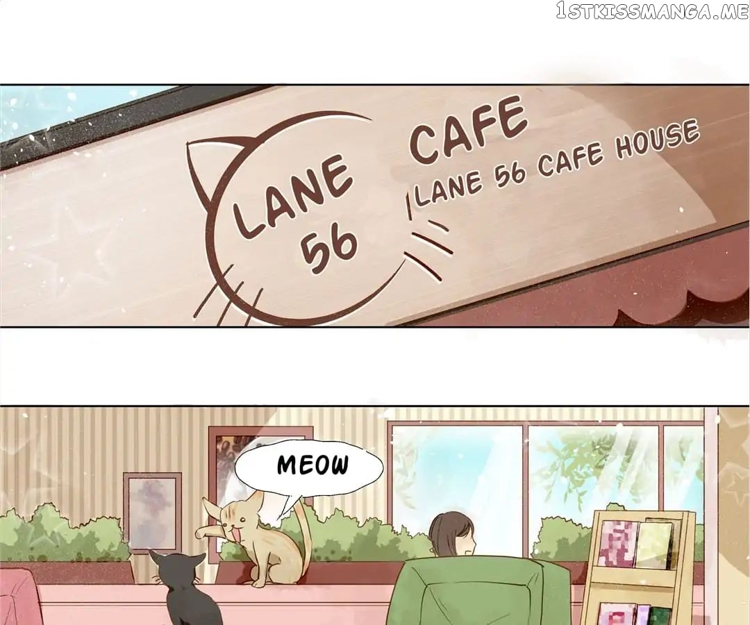 My Graduate Roommate in Women’s Clothes chapter 6 - page 14