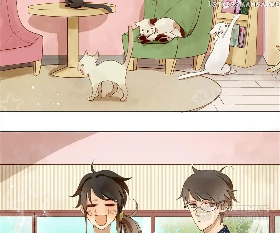 My Graduate Roommate in Women’s Clothes chapter 6 - page 15