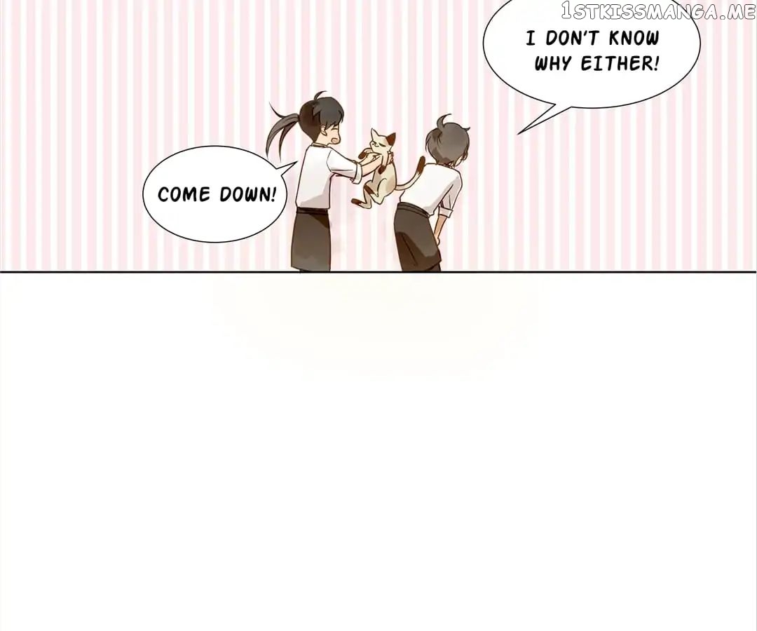 My Graduate Roommate in Women’s Clothes chapter 7 - page 16