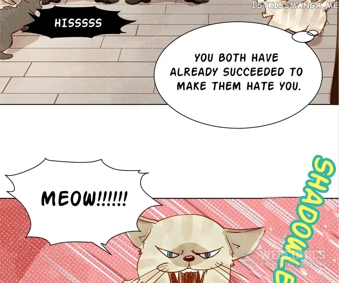 My Graduate Roommate in Women’s Clothes chapter 8 - page 11