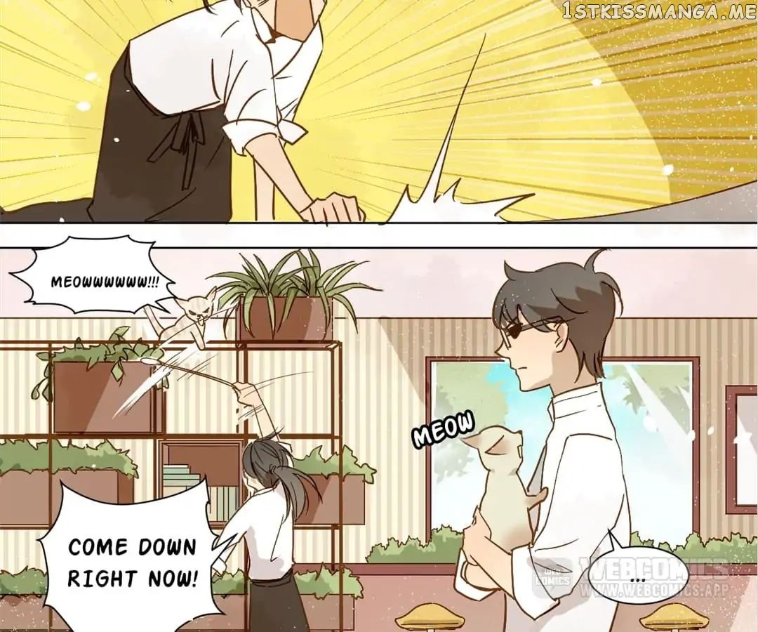 My Graduate Roommate in Women’s Clothes chapter 8 - page 15