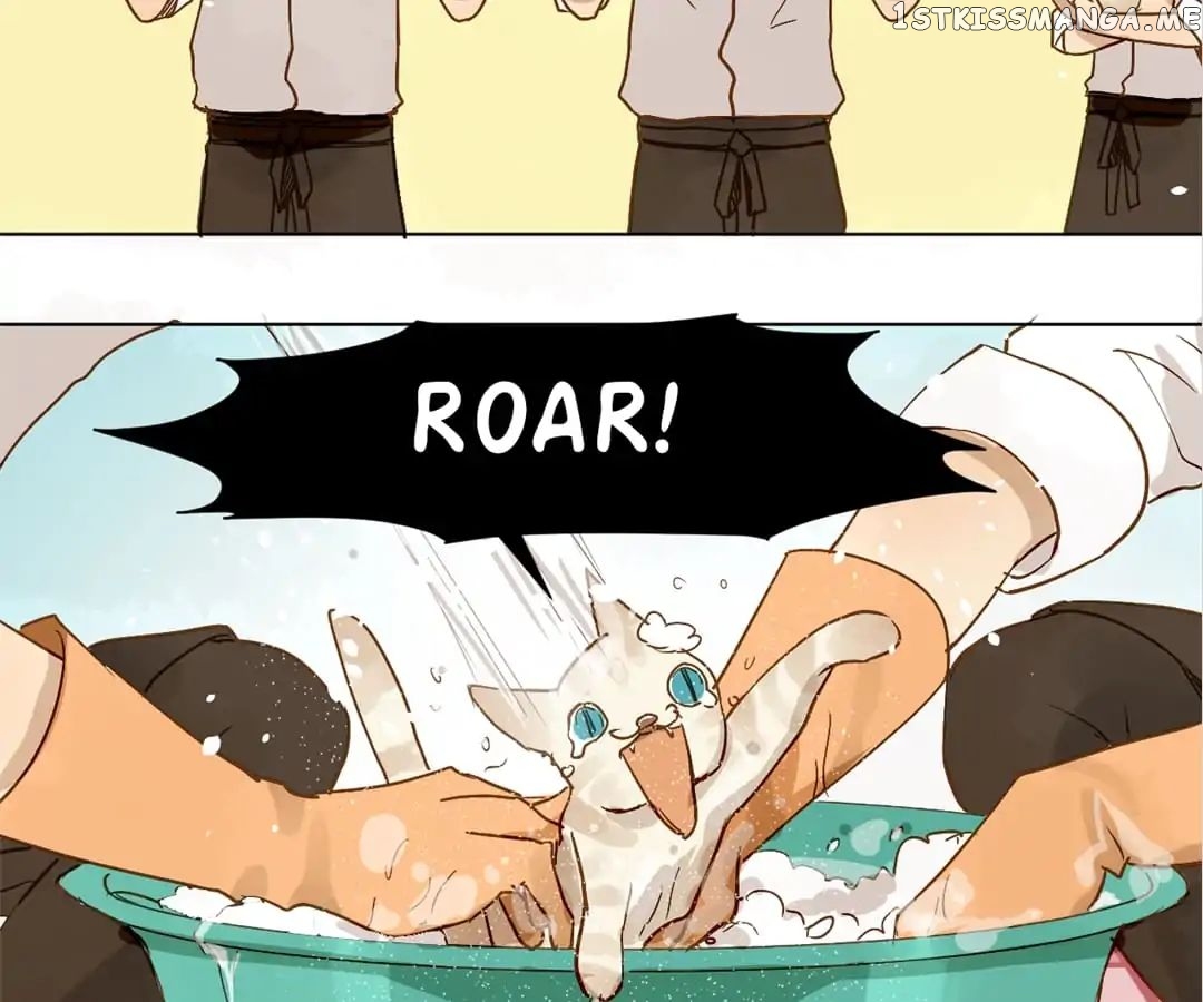 My Graduate Roommate in Women’s Clothes chapter 8 - page 21