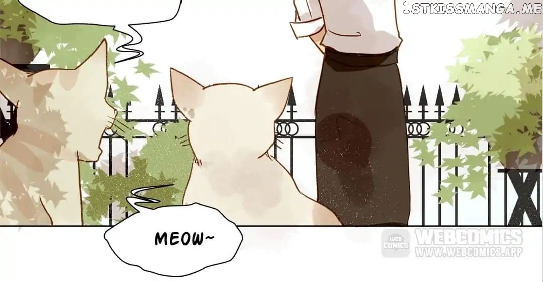 My Graduate Roommate in Women’s Clothes chapter 11 - page 7