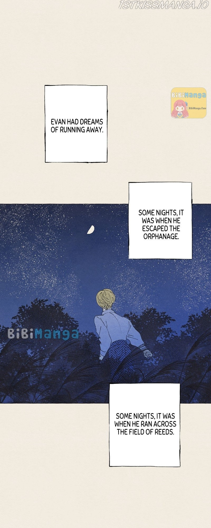 Aurora’s Sanctuary for Lost Things chapter 32 - page 42