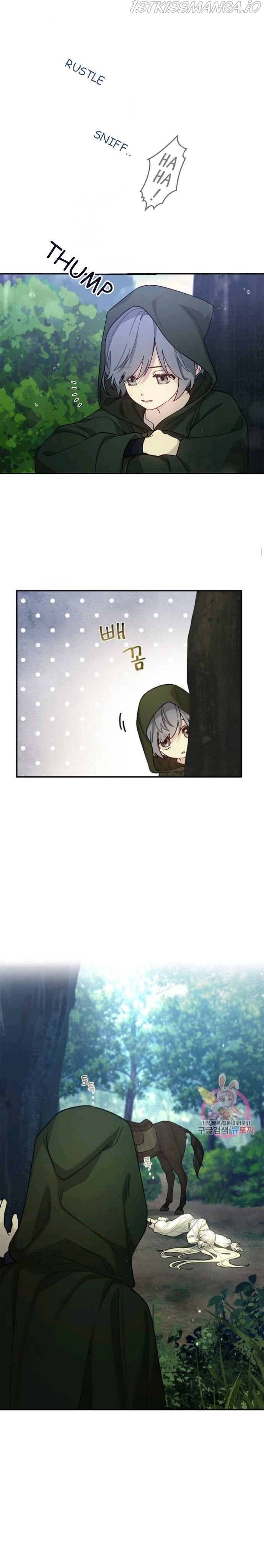 Elegy of Roses Chapter 12 - page 11