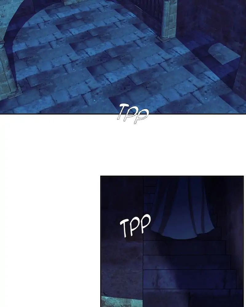 My Dear Cold-Blooded King chapter 106 - page 47