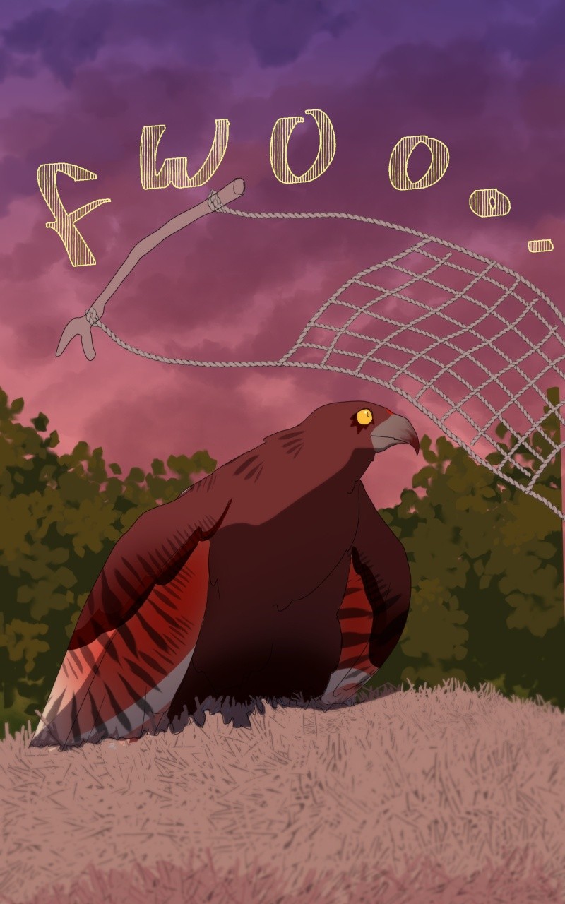 Warrior of the Wild chapter 45 - page 47