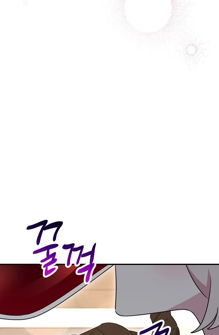 The Tyrant Princess Wants to Get Married! chapter 12.5 - page 45