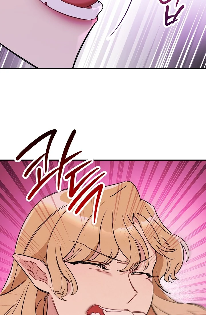 The Tyrant Princess Wants to Get Married! chapter 11.5 - page 9