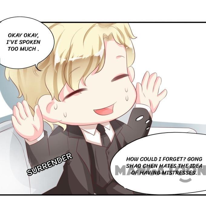 Prince’s Private Baby chapter 11 - page 17