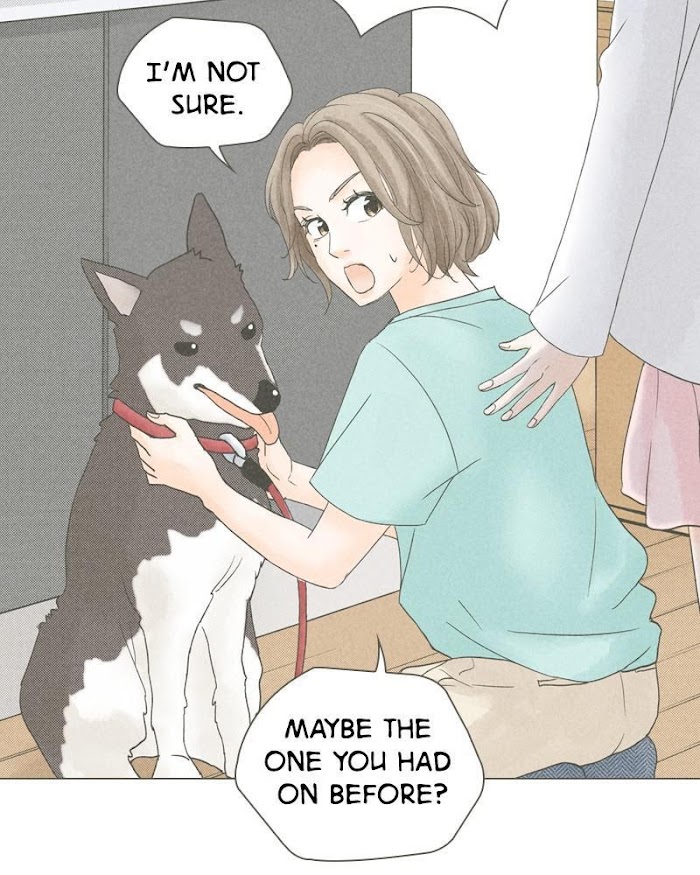 There's Love Hidden in Lies chapter 50 - page 47