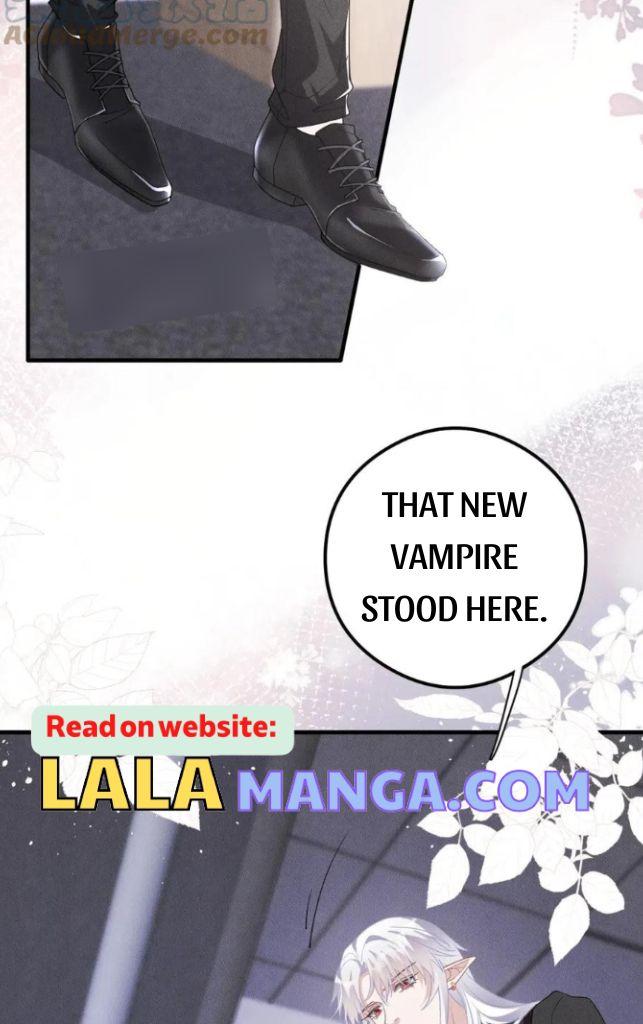 My Vampire Master Wants Revenge On Me chapter 48 - page 25