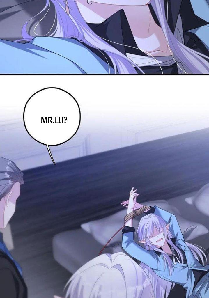 My Vampire Master Wants Revenge On Me chapter 52 - page 27