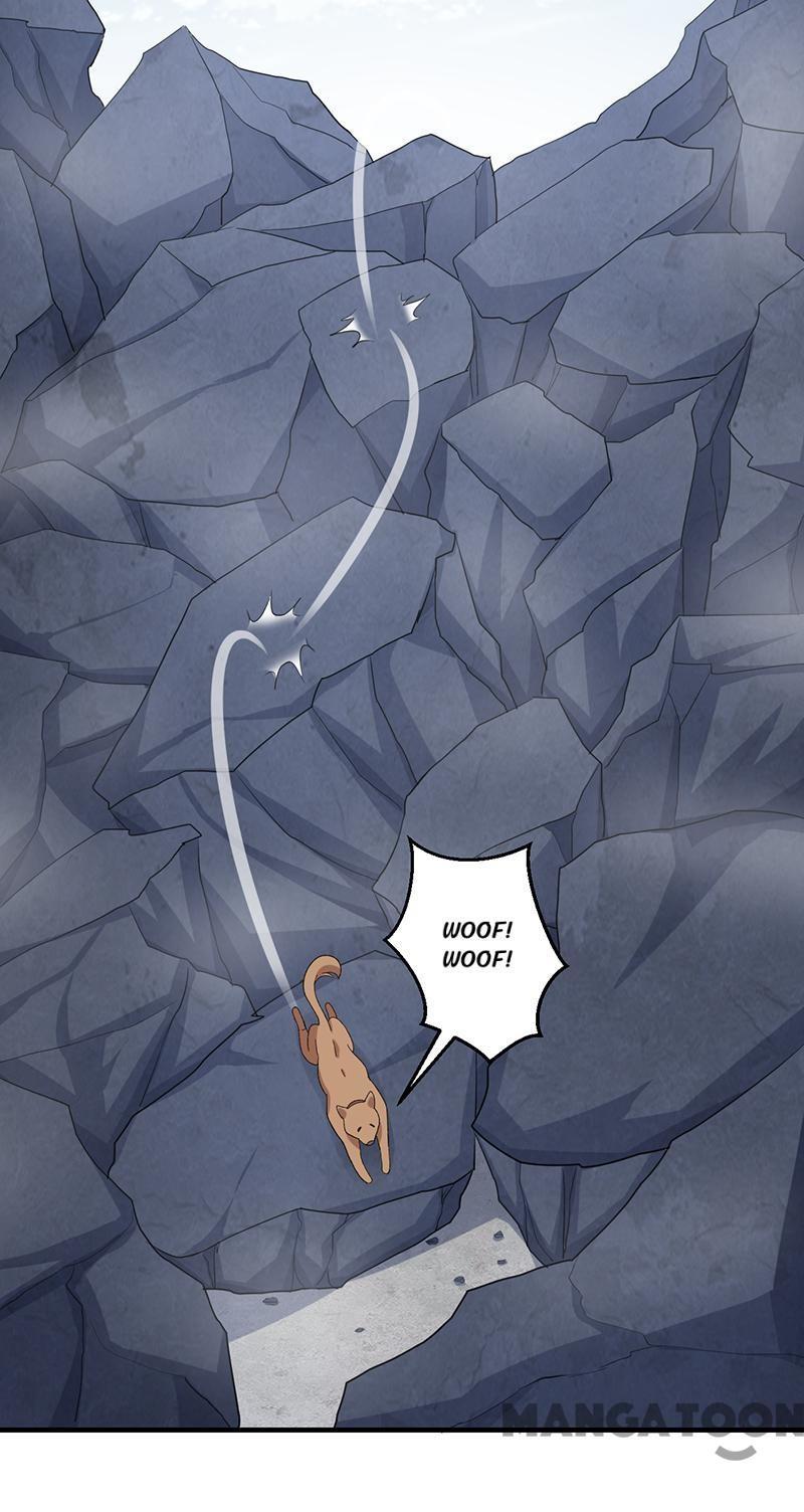 Revenge of a Fierce Princess Chapter 253 - page 17