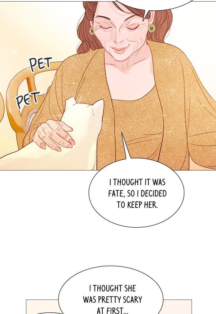 Mystery – Manga Chapter 56 - page 41