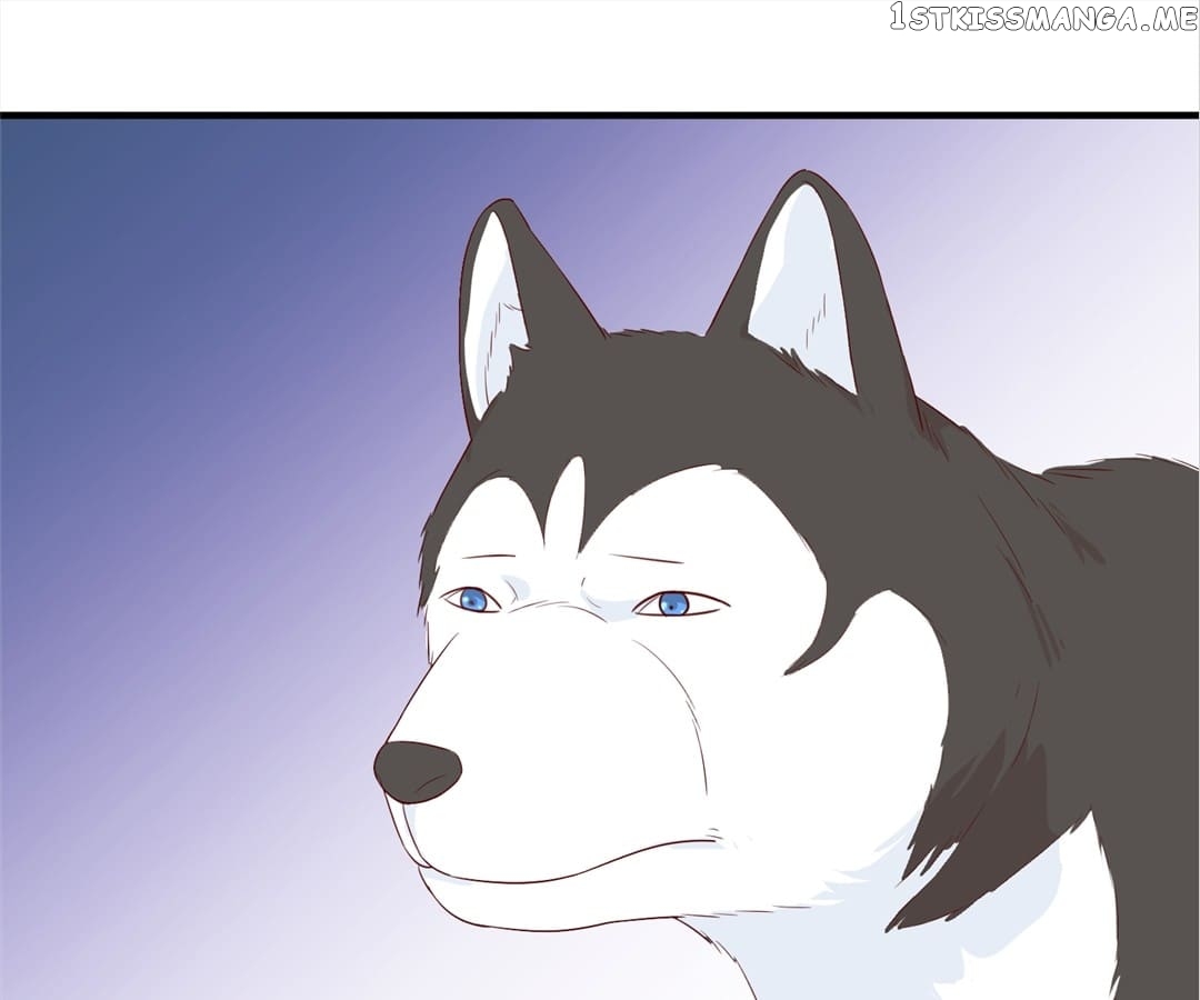 Witch’s Husky Husband chapter 25 - page 8