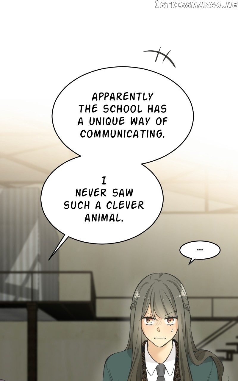 Who’s Mr. President? Chapter 66 - page 50