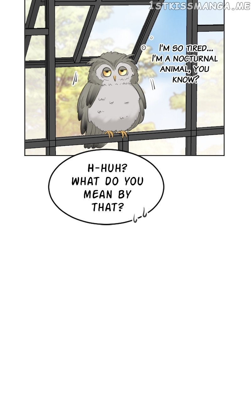 Who’s Mr. President? Chapter 52 - page 31