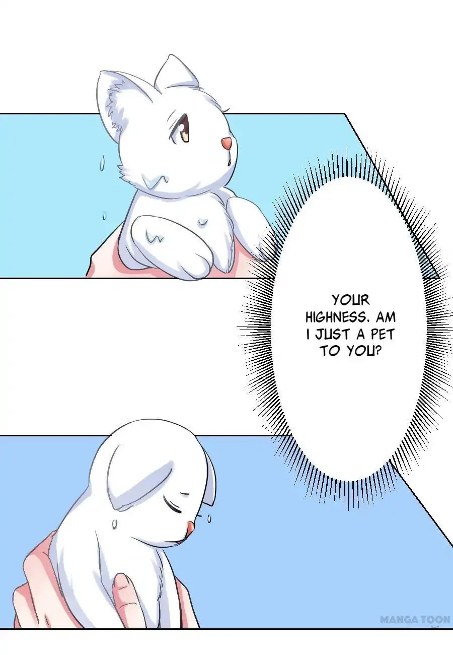 Keep Me Company, Your Highness chapter 40 - page 1