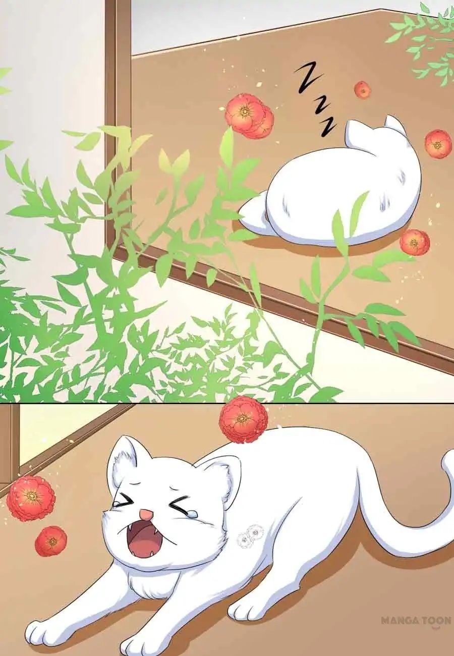 Keep Me Company, Your Highness chapter 37 - page 11