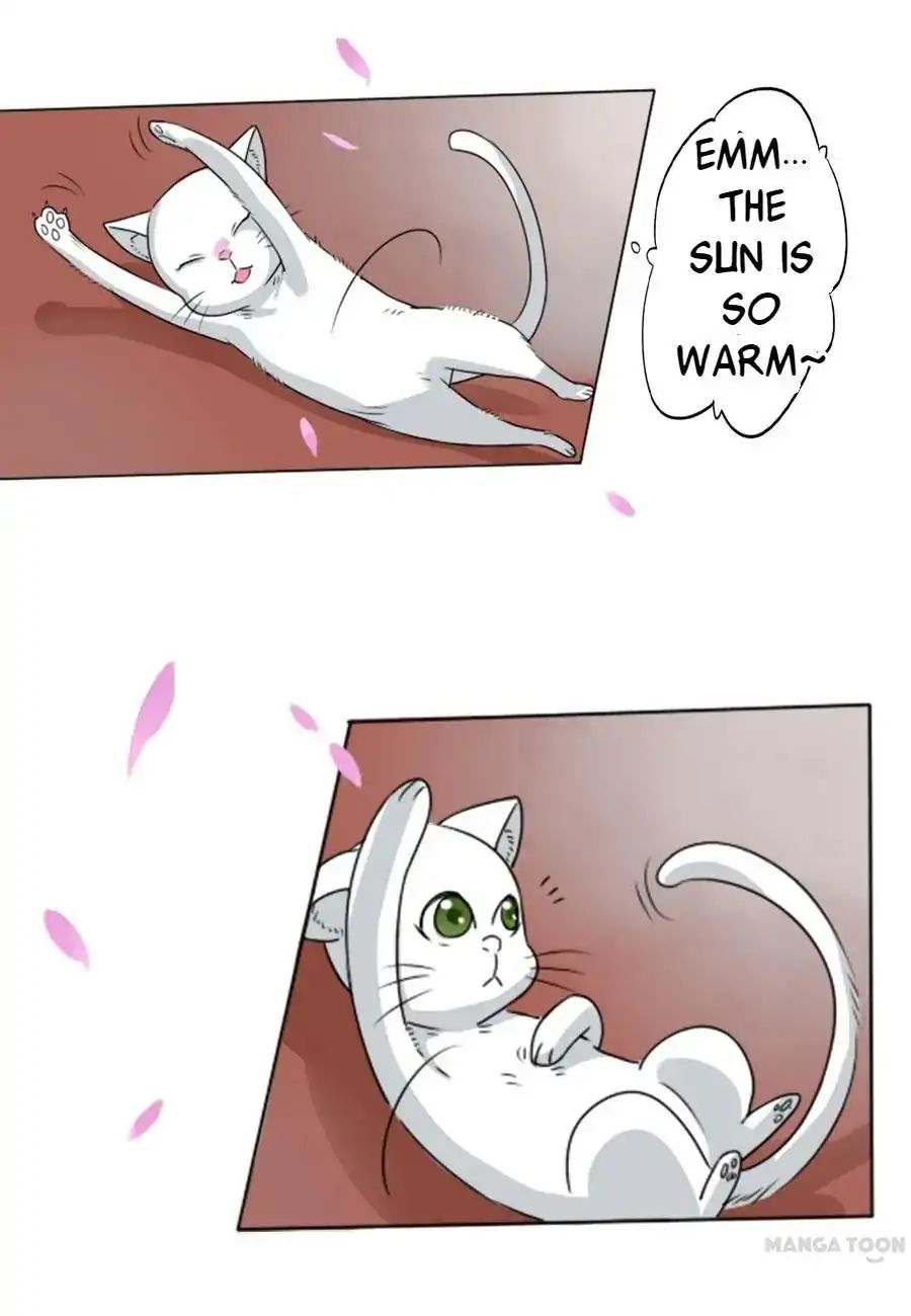 Keep Me Company, Your Highness chapter 3 - page 3
