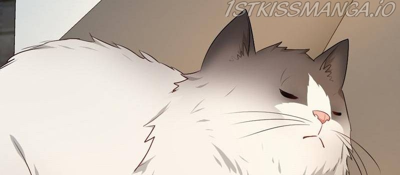The Final Seven Days chapter 58 - page 42