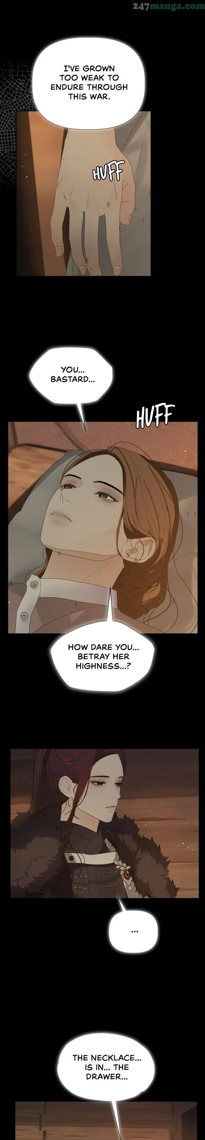 The Princess After The Revolution chapter 43 - page 3