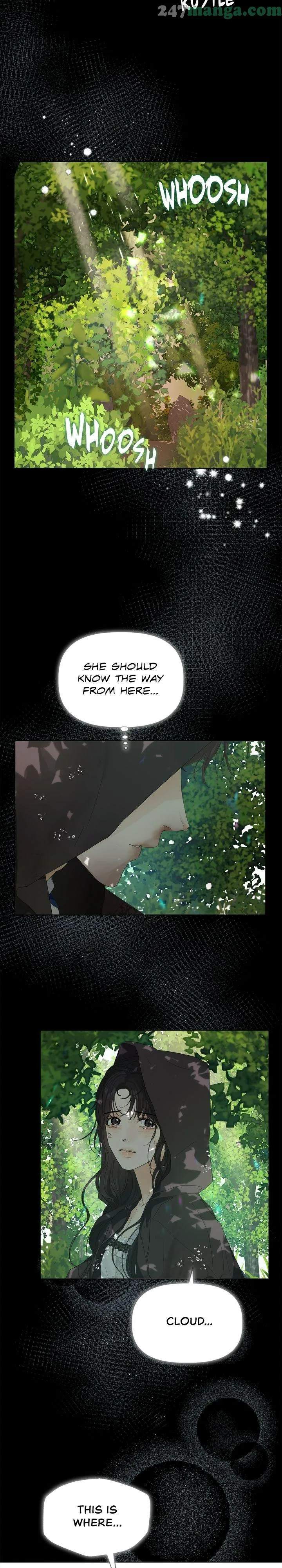 The Princess After The Revolution chapter 33 - page 29
