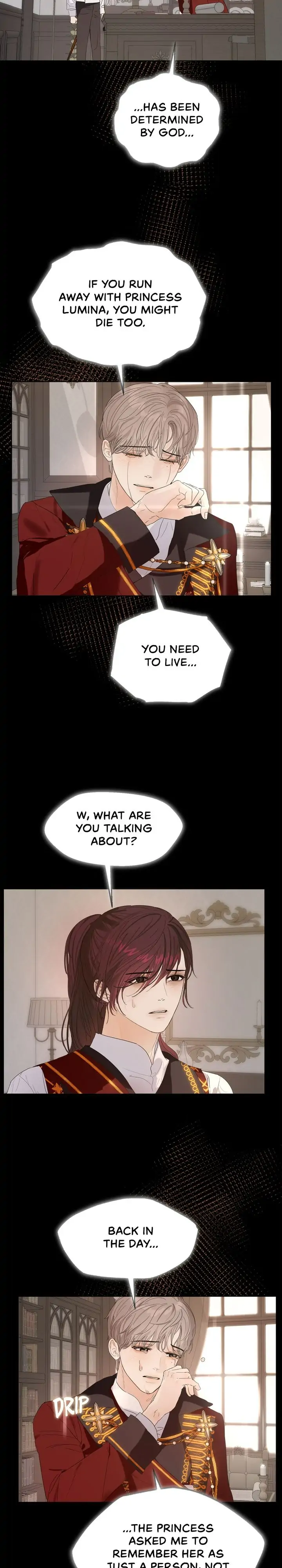 The Princess After The Revolution chapter 34 - page 21