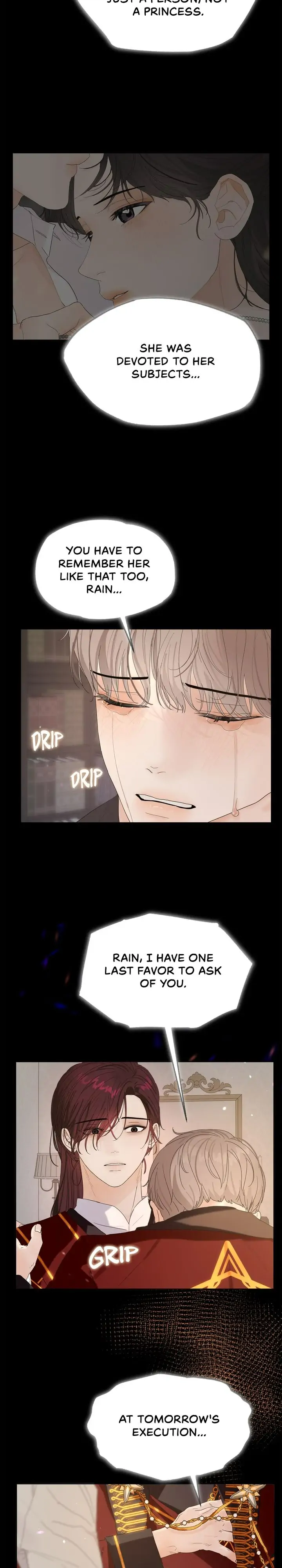 The Princess After The Revolution chapter 34 - page 22