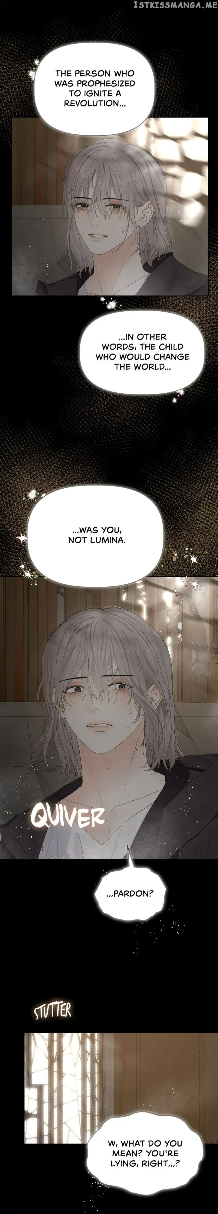 The Princess After The Revolution chapter 35 - page 17