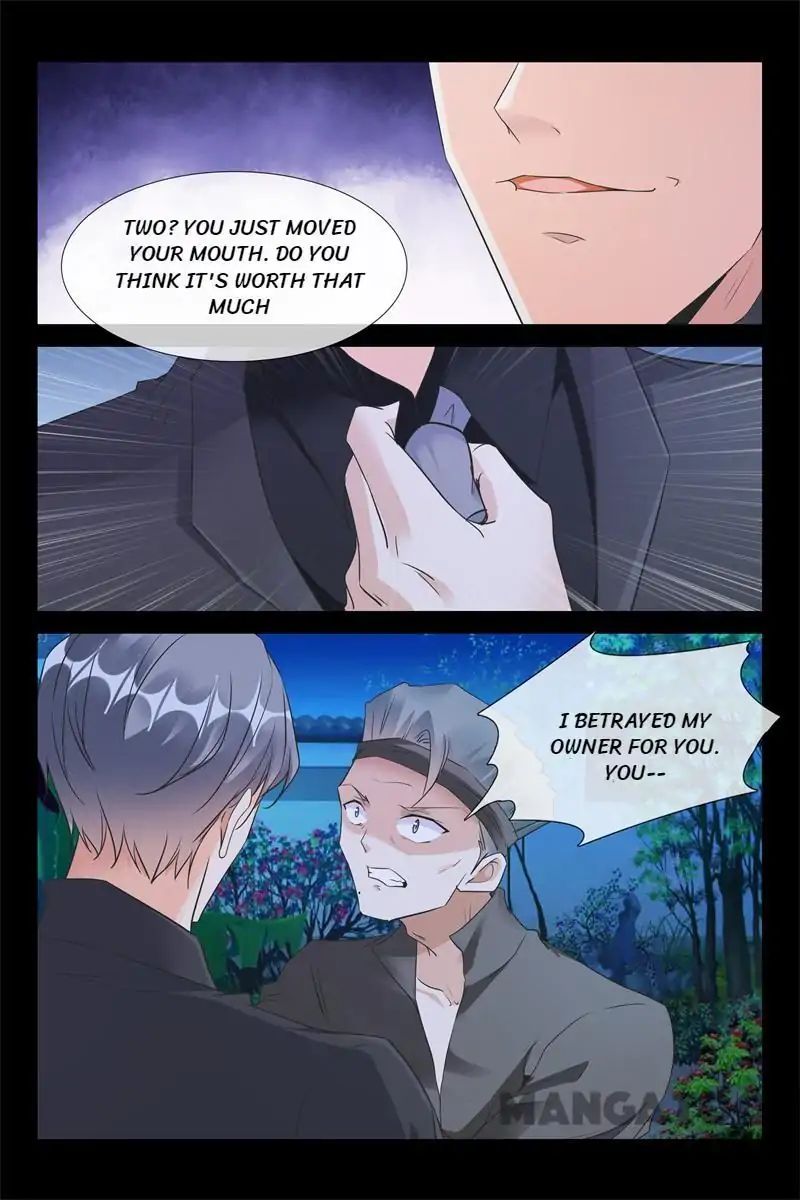 Warlord Hubby: Ruling your world chapter 82 - page 5
