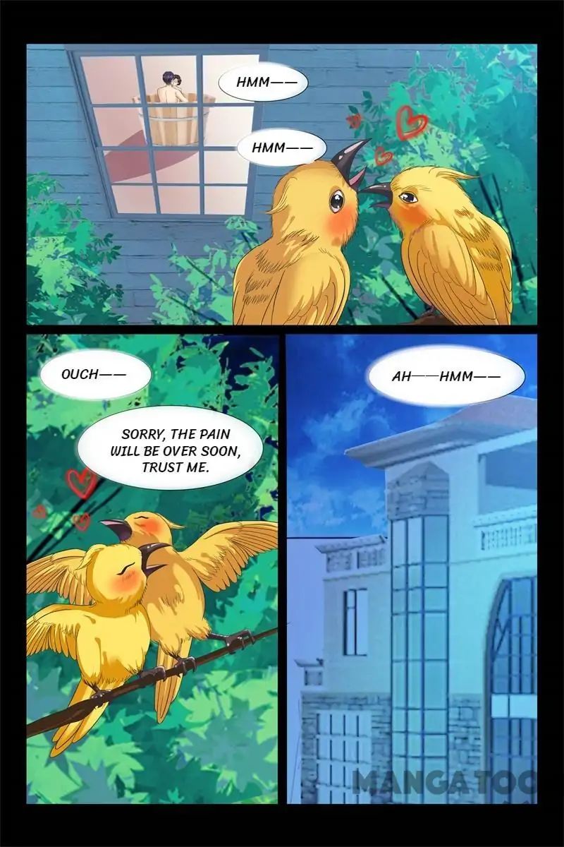 Warlord Hubby: Ruling your world chapter 95 - page 5