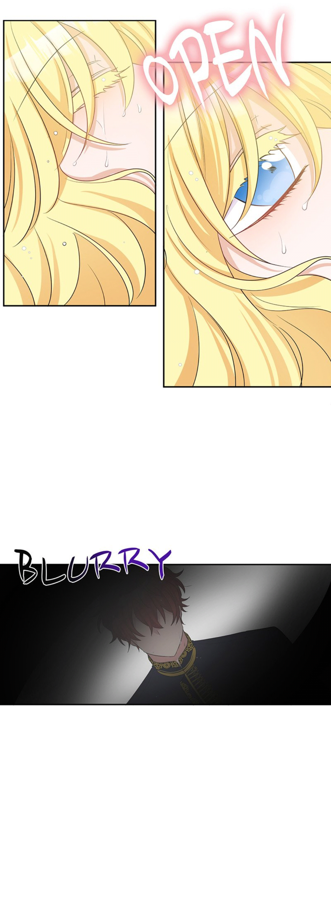 Cheerful Countess Sisters chapter 23 - page 6