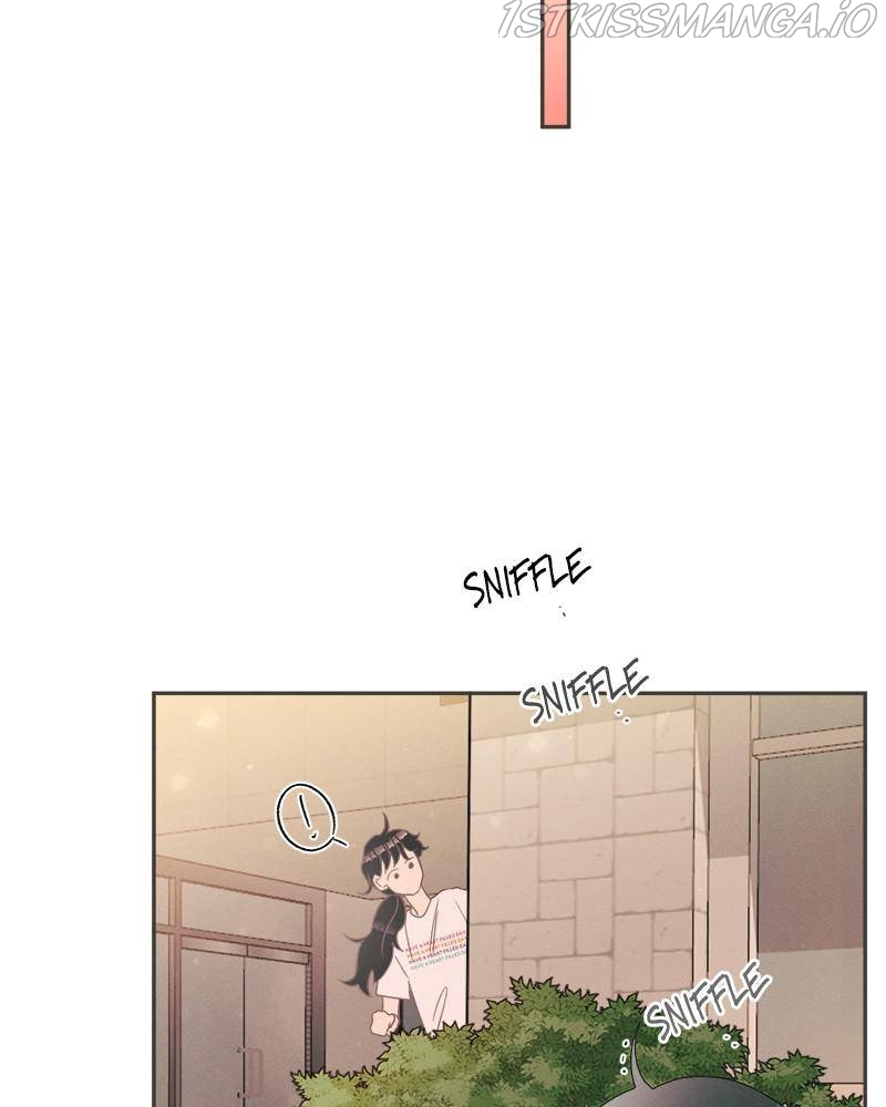 A Summer Night’s Dream Chapter 15 - page 44
