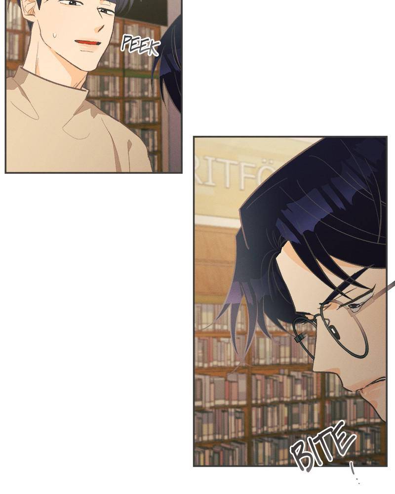 A Summer Night’s Dream Chapter 25 - page 41