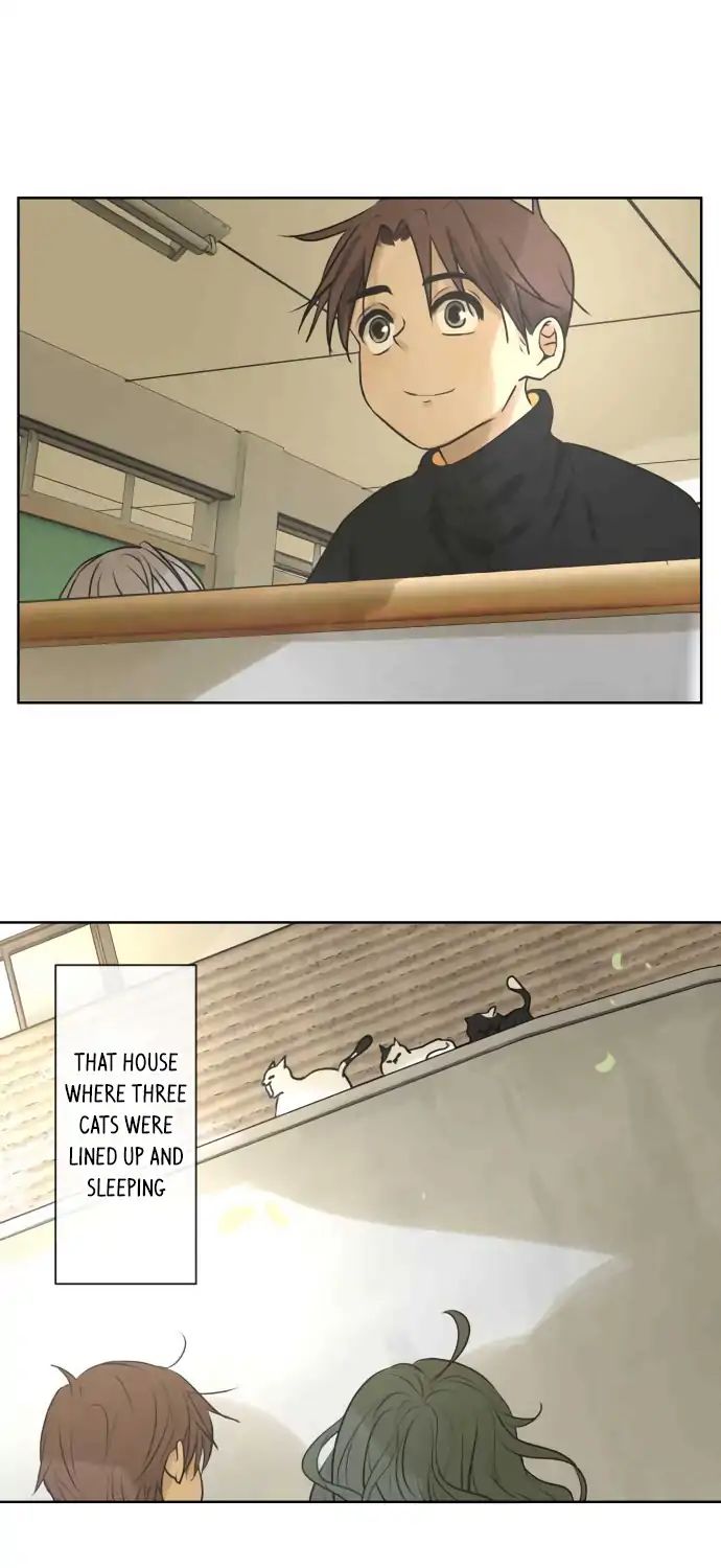 Kakao 79% Chapter 164 - page 24