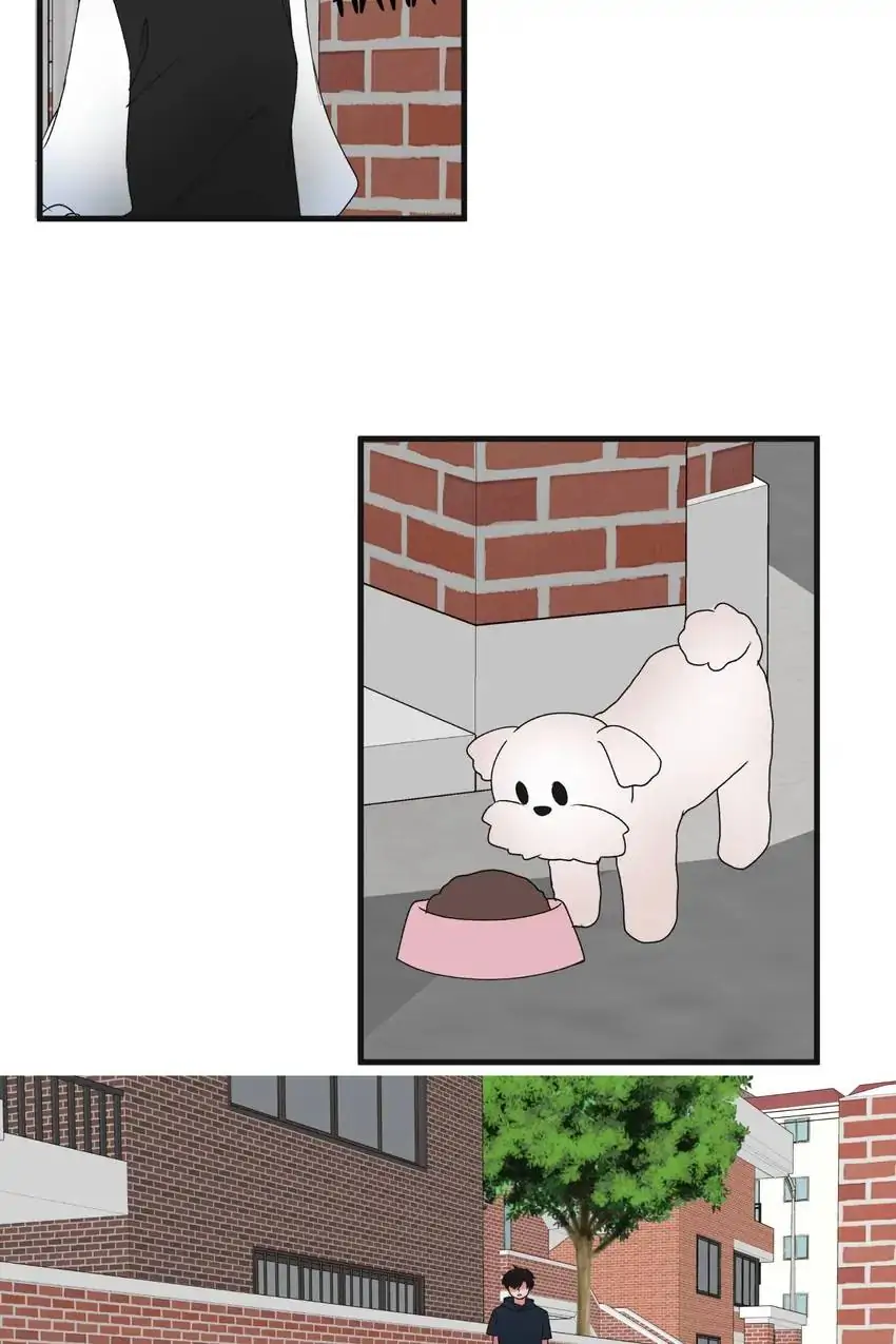 Looking For My True Owner Chapter 20 - page 12