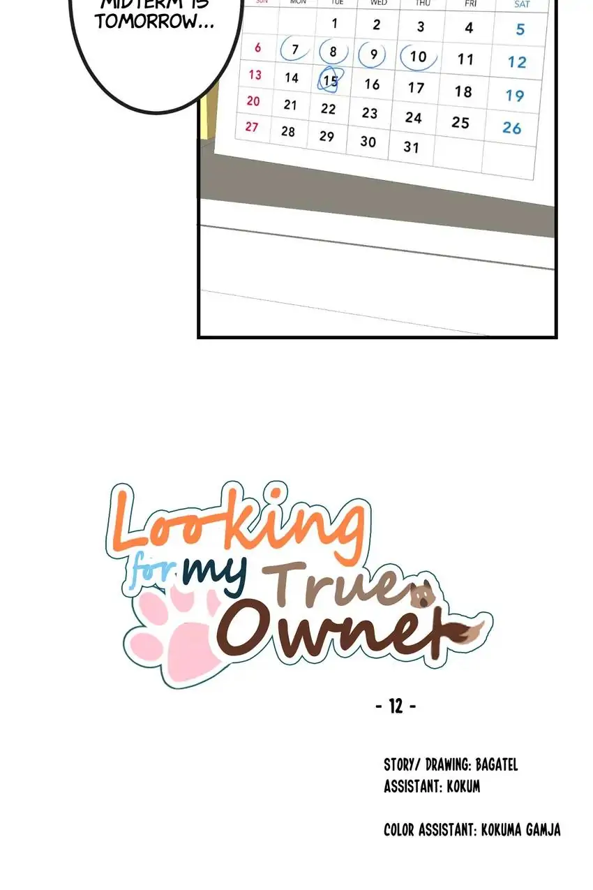 Looking For My True Owner Chapter 12 - page 17