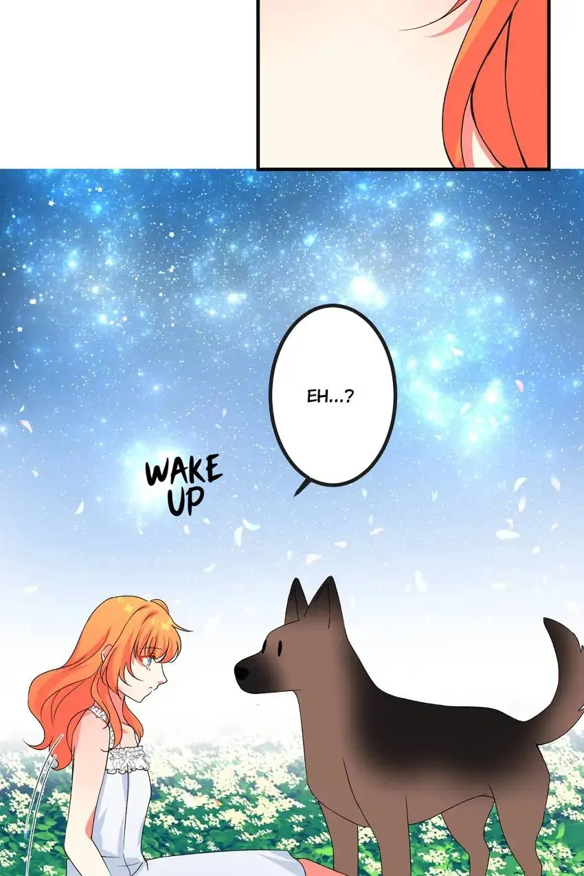 Looking For My True Owner Chapter 12 - page 4