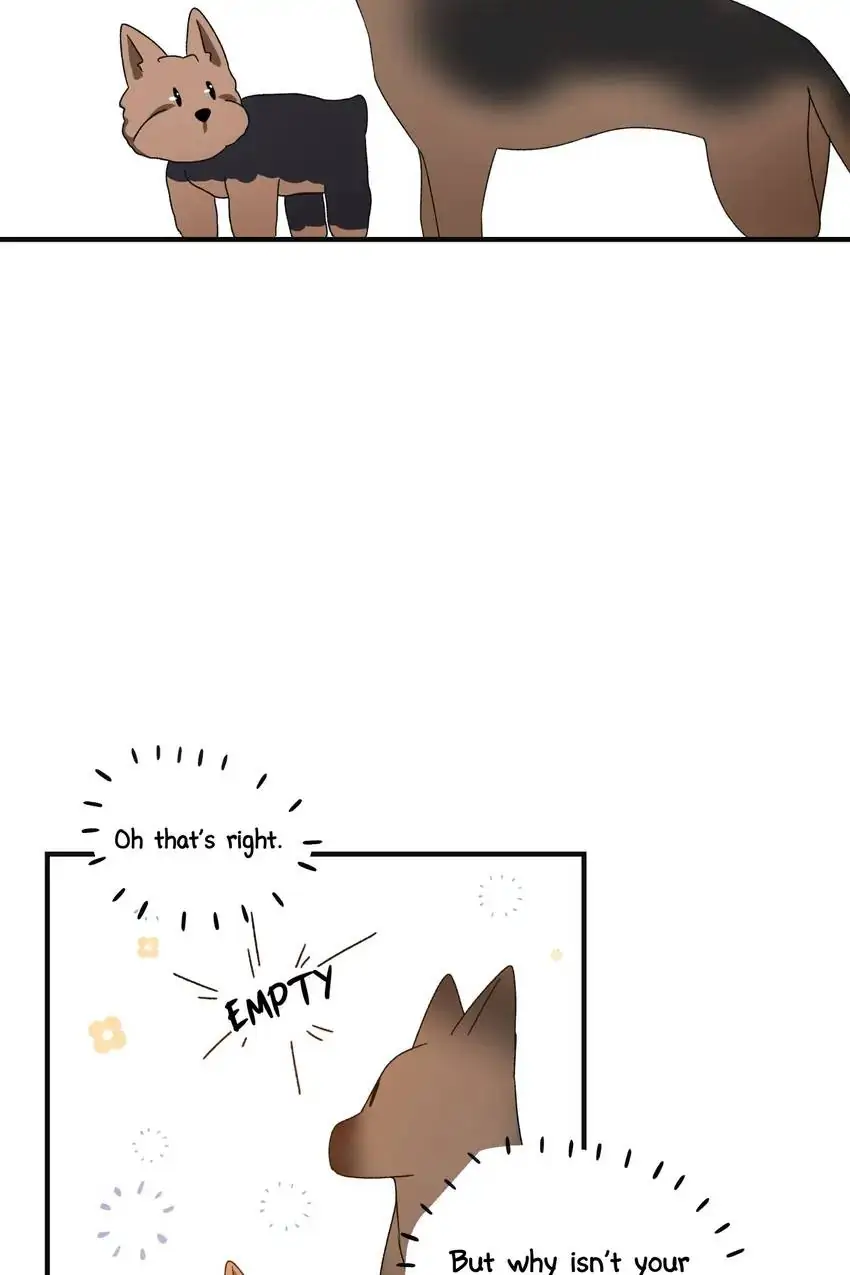 Looking For My True Owner Chapter 11 - page 14