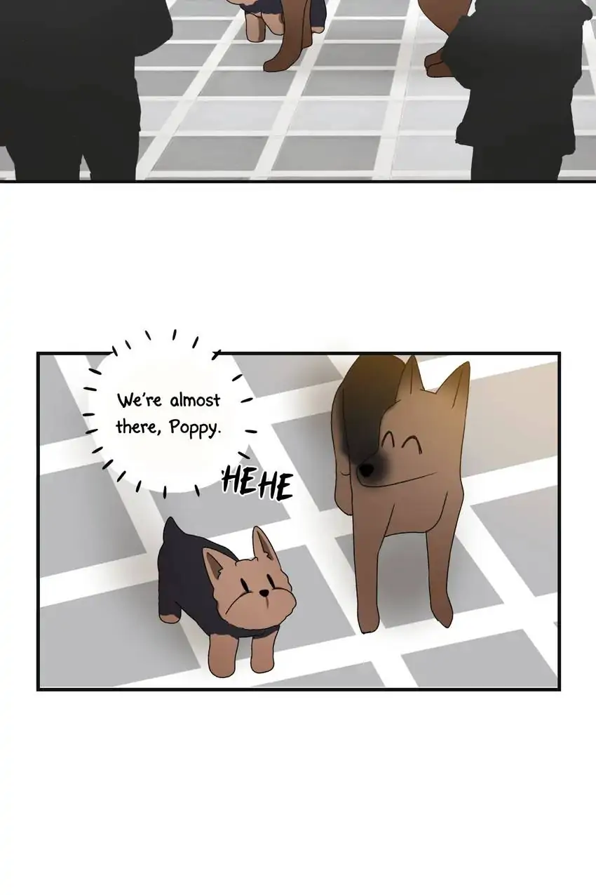 Looking For My True Owner Chapter 11 - page 21