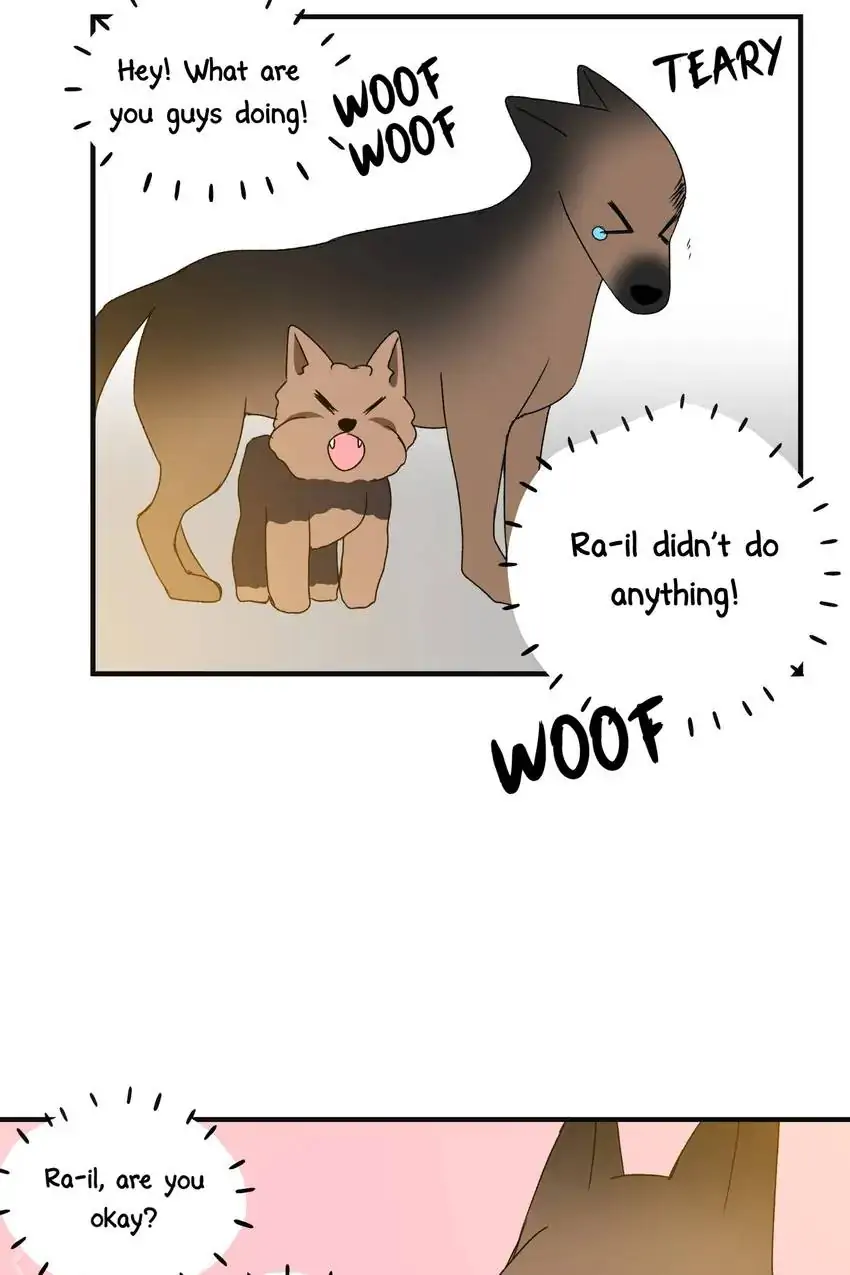 Looking For My True Owner Chapter 11 - page 24