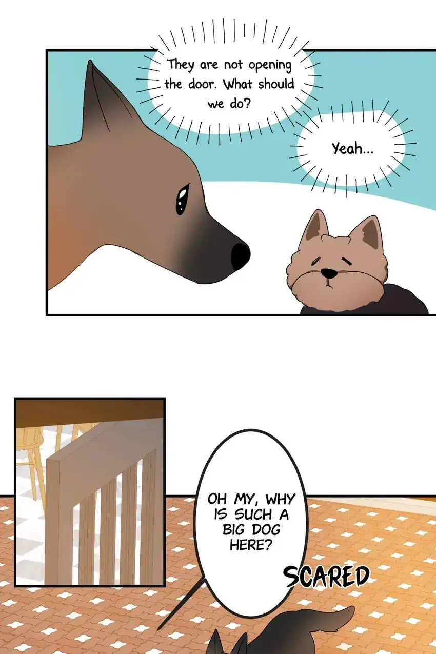 Looking For My True Owner Chapter 11 - page 37