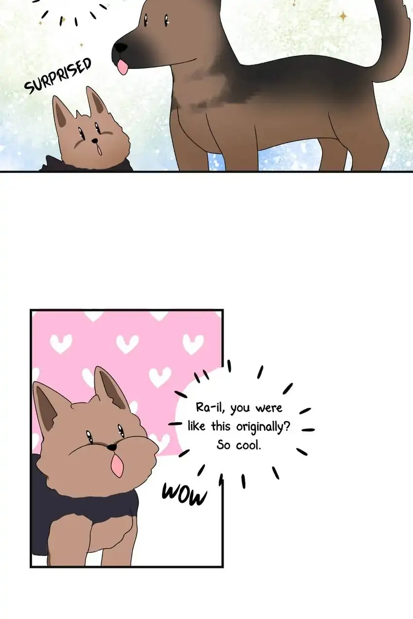 Looking For My True Owner Chapter 11 - page 5
