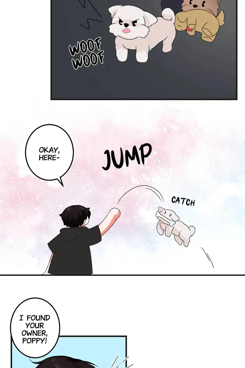 Looking For My True Owner Chapter 9 - page 18