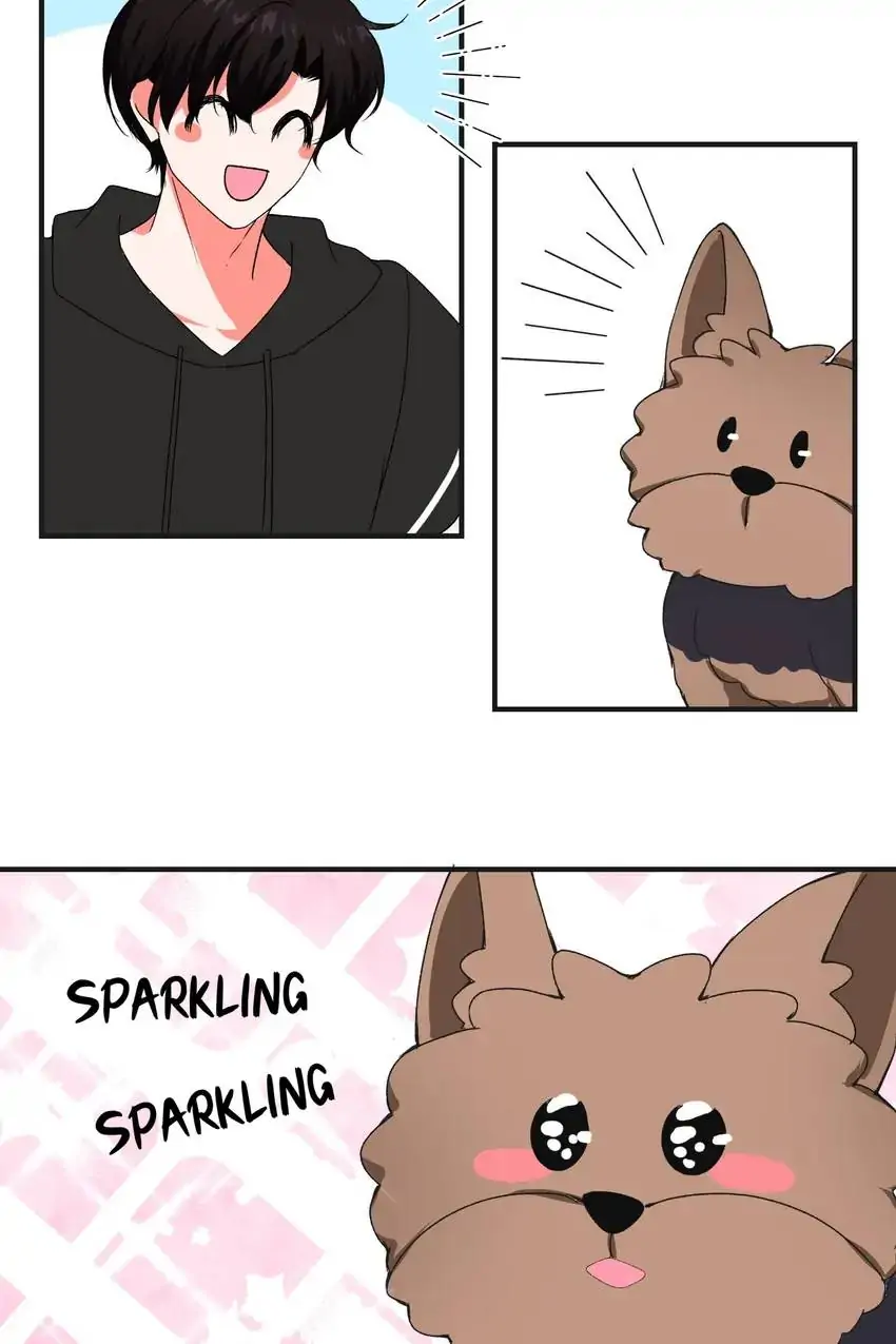 Looking For My True Owner Chapter 9 - page 19