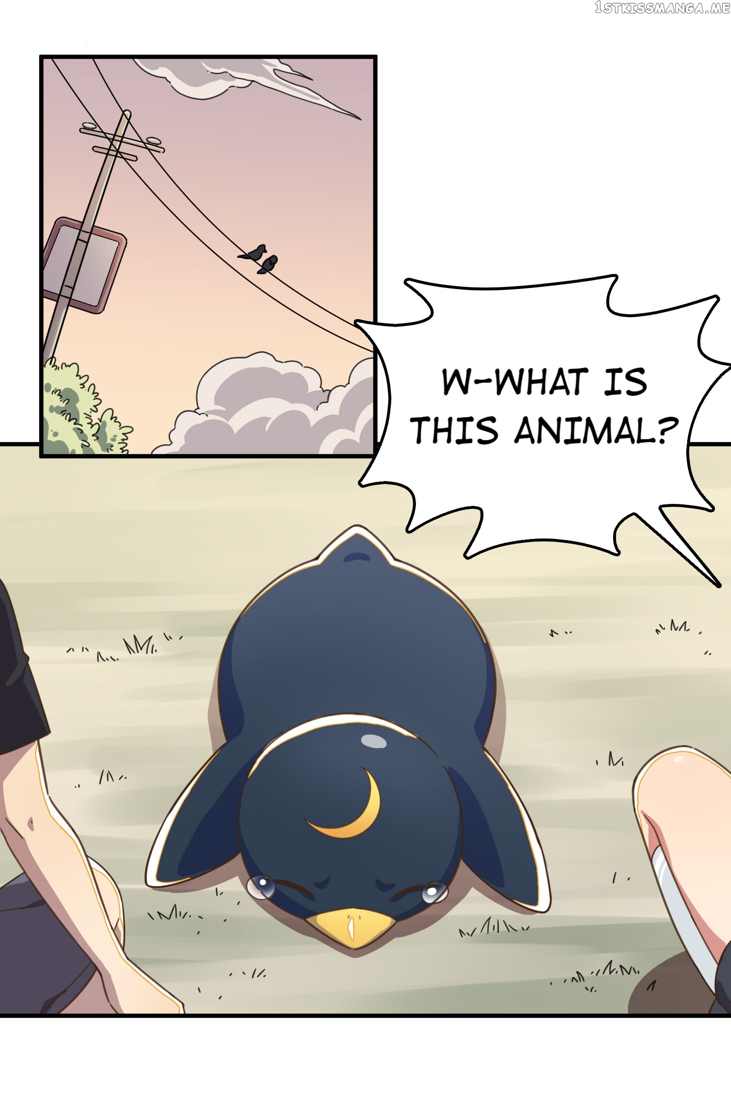 How To Properly Care For Your Pet Wife chapter 7 - page 8